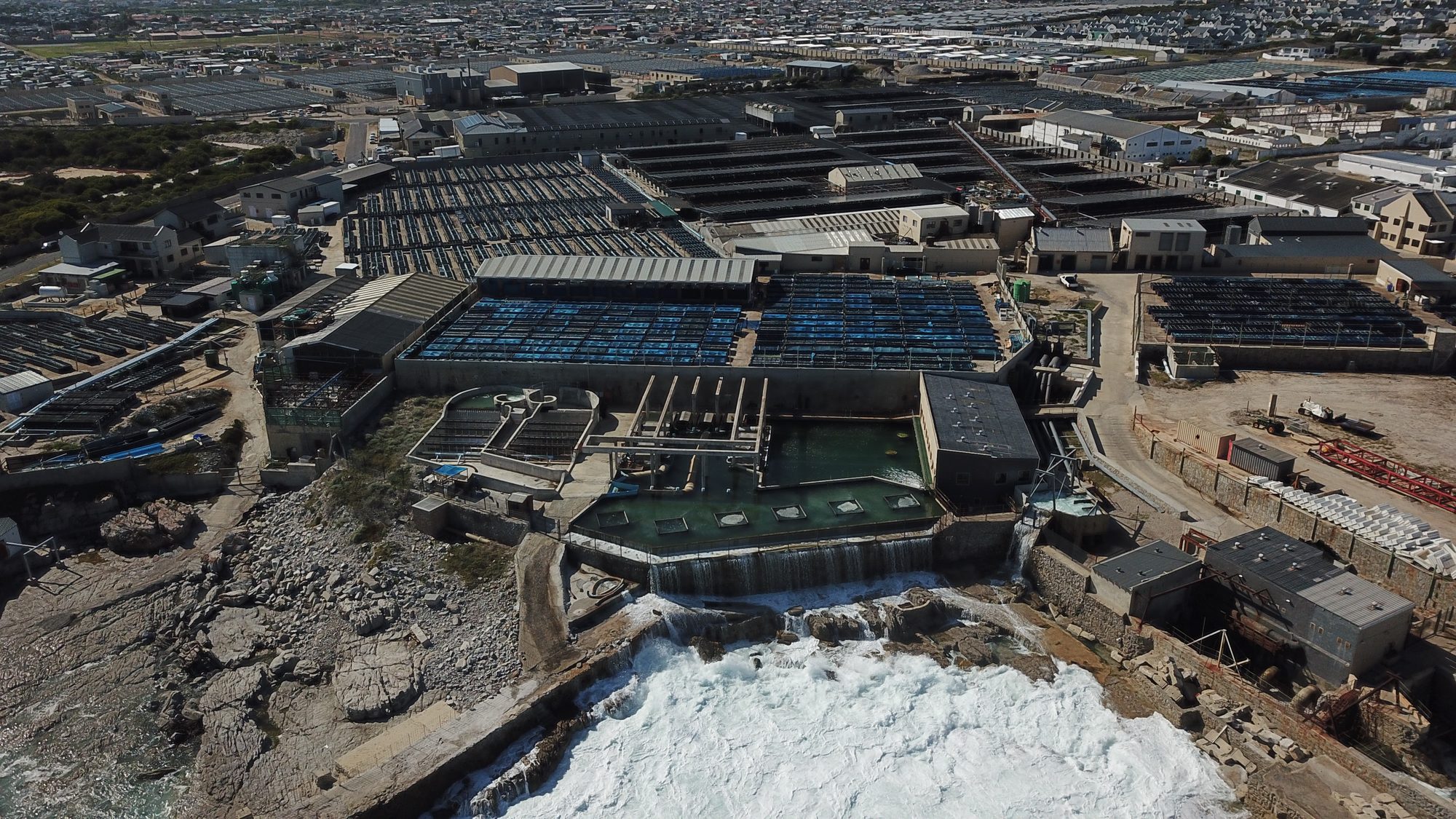 Abagold's grow-out farms seen from the air