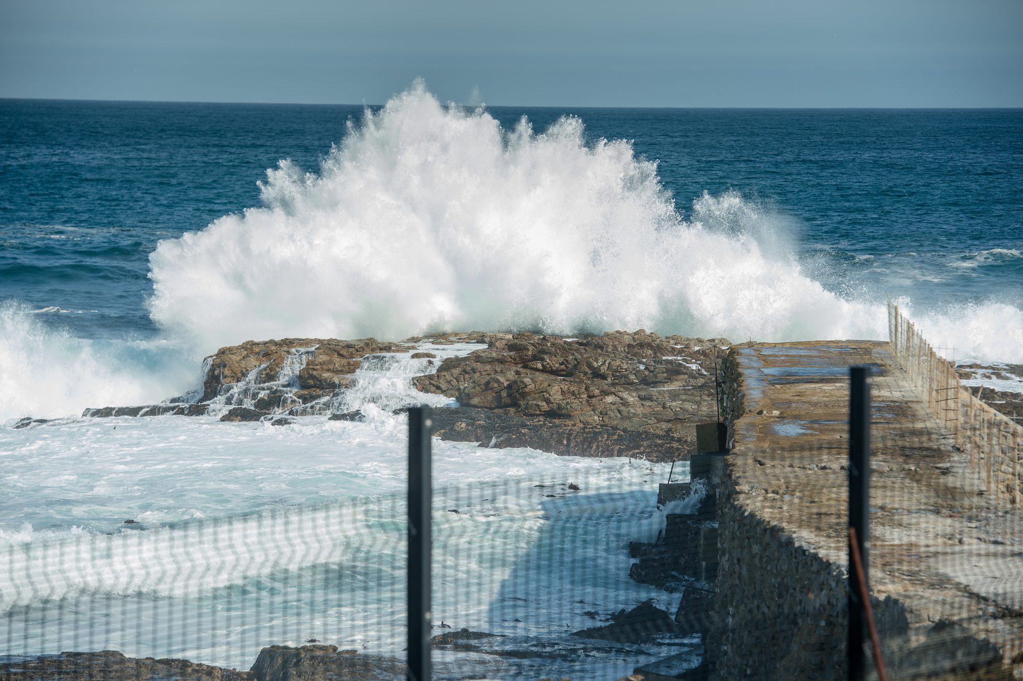 Atlantic swell breaking beside the growing areas